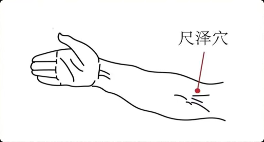 【一周一穴】胸闷心烦、口渴不解？巧用尺泽穴，清肺止咳、和胃降逆
