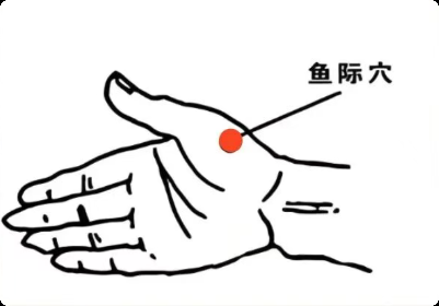 【一周一穴】立秋咽干、心烦意乱？巧用鱼际穴，清肺泻热、凉血止血