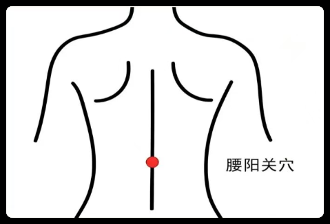 【一周一穴】处暑后腰酸冷痛、乏力怕风？巧用腰阳关，强腰健脊、益肾固精