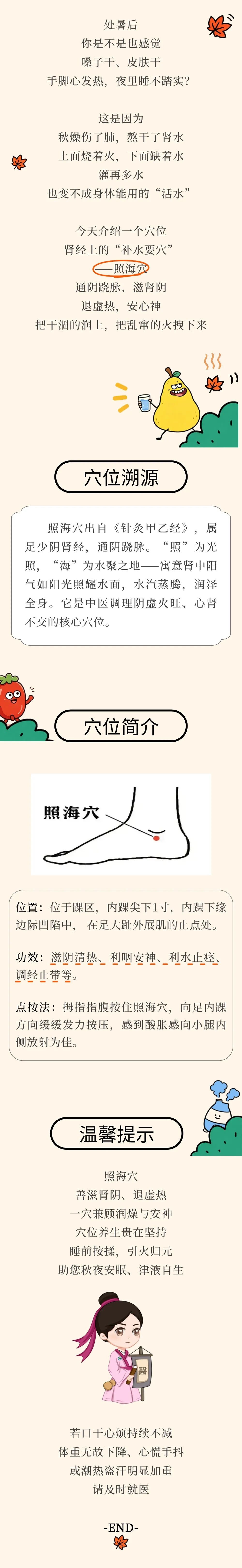 穴位.jpg