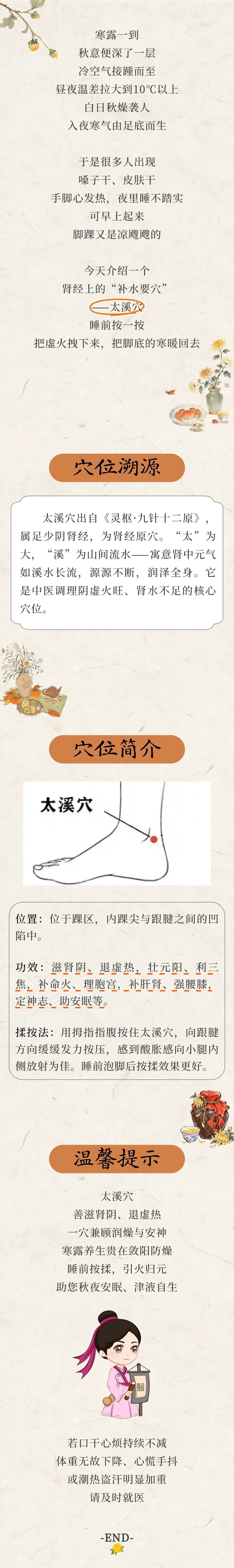 穴位.jpg