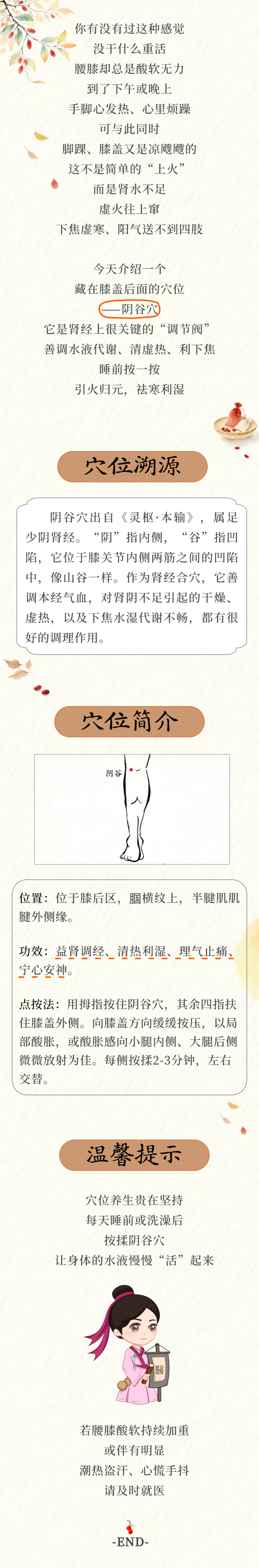 穴位.png